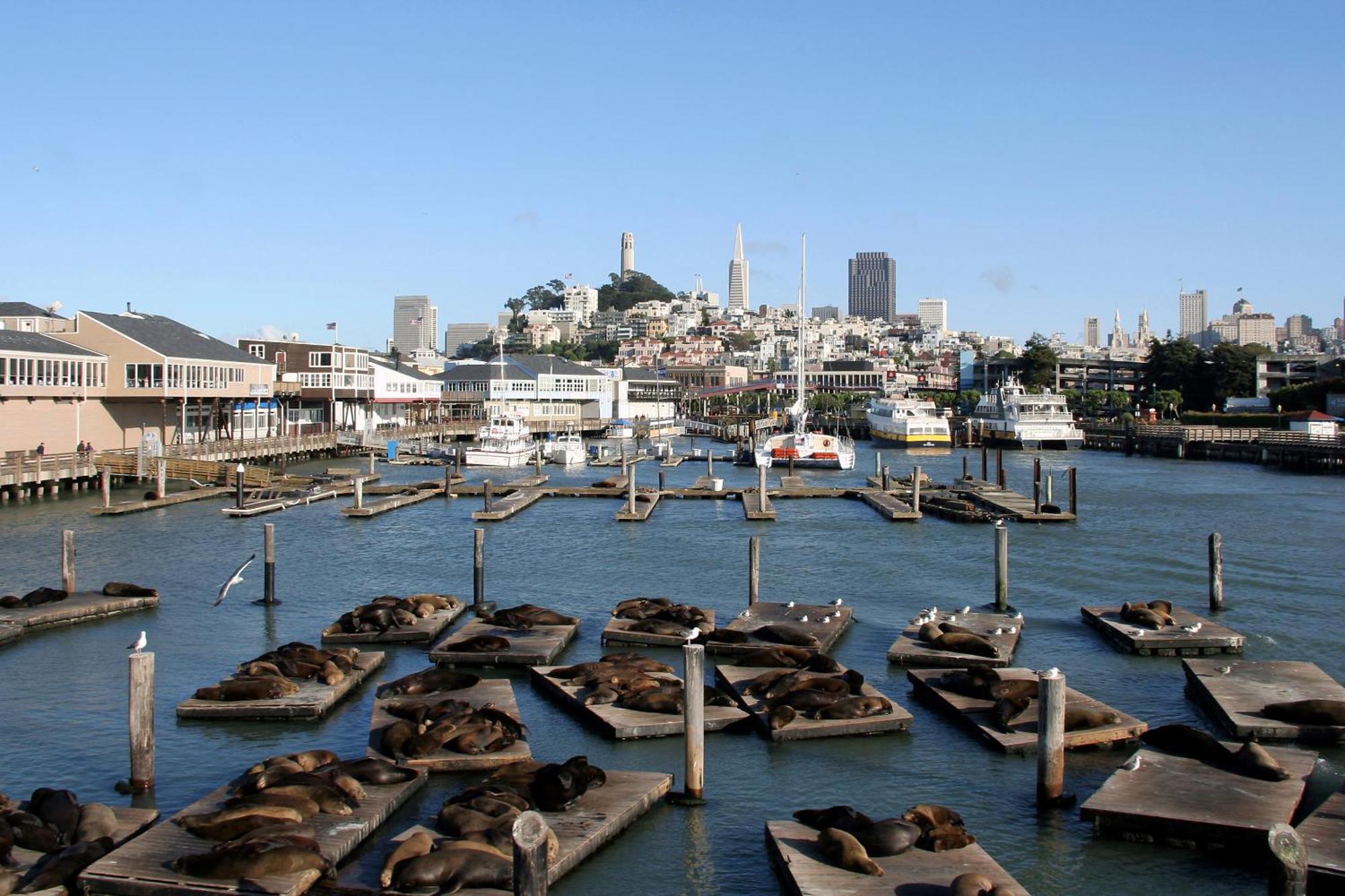Hotel Zoe Fisherman'S Wharf San Francisco Extérieur photo